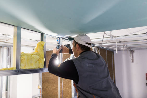Best Insulation for Specific Applications in Warm Mineral Springs, FL