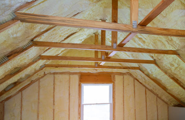 Best Insulation Installation Services in Warm Mineral Springs, FL
